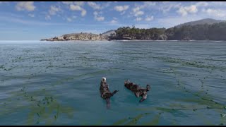Habitat Earth (Trailer) | California Academy of Sciences