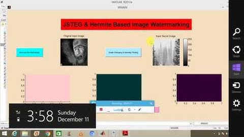 Hermite Expansion Method for the Image Watermarking