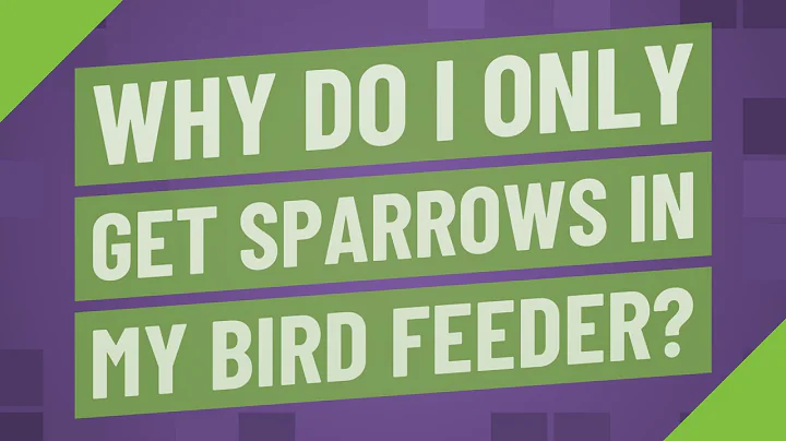 Why do I only get sparrows in my bird feeder?