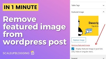 How To Hide Featured Images From Single WordPress Posts