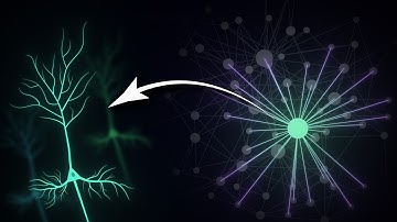 A Surprising Way Your Brain Is Wired