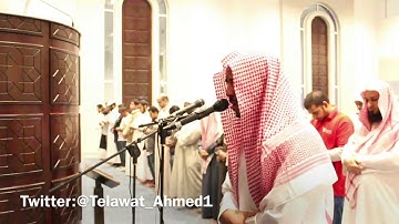 عشائية بديعة من سورة العنكبوت - أحمد العبيد