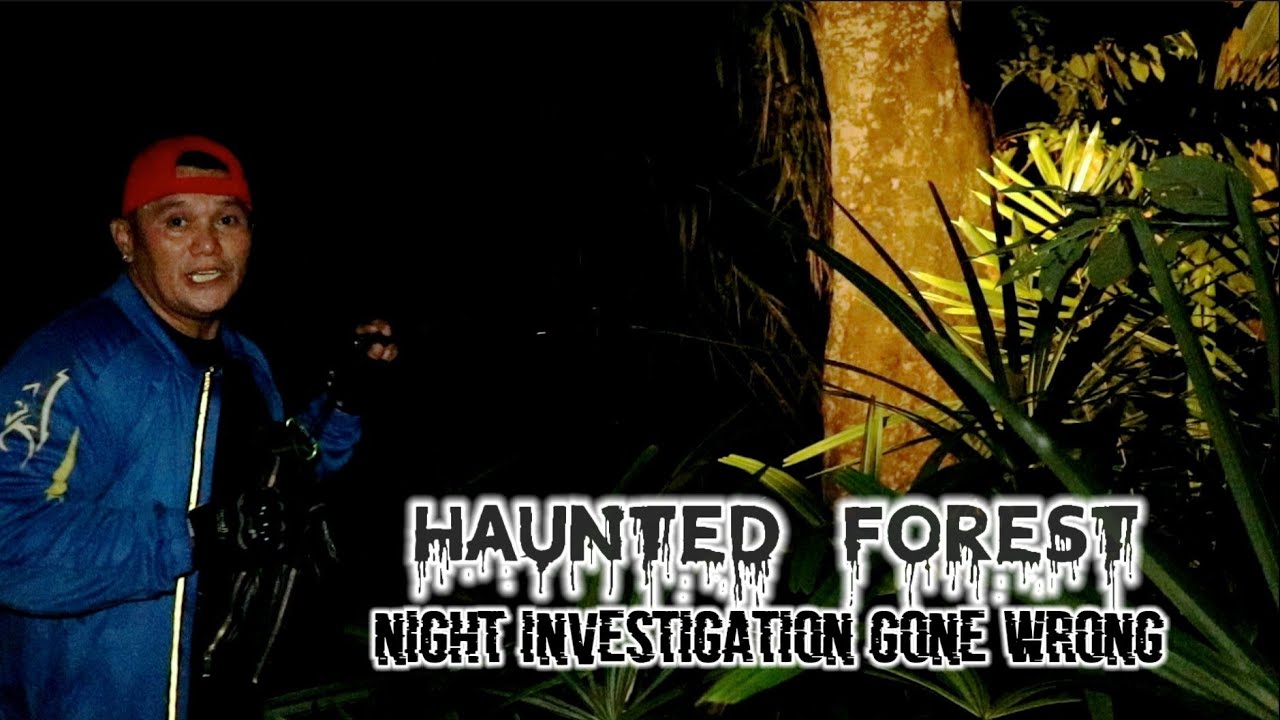 INVESTIGATION OF HAUNTED FOREST gone wrong - YouTube