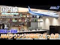 【ANA】普通席でも液晶モニター付きのA321neoに初めて乗った / 岡山→羽田