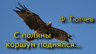 Стихотворение "С поляны коршун поднялся…", Федор Тютчев