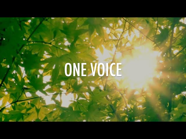 One Voice // Hosanna | Martin Nystrom // Lyrics class=