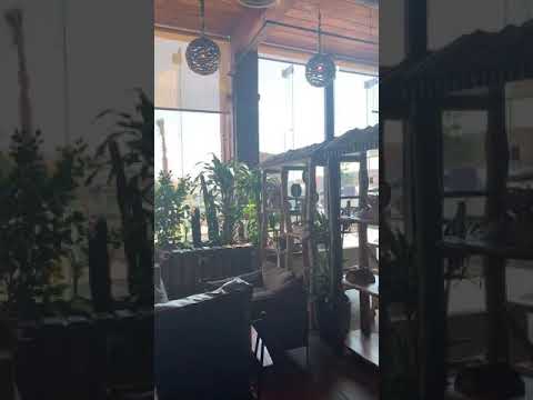 مطعم لافندر لونج