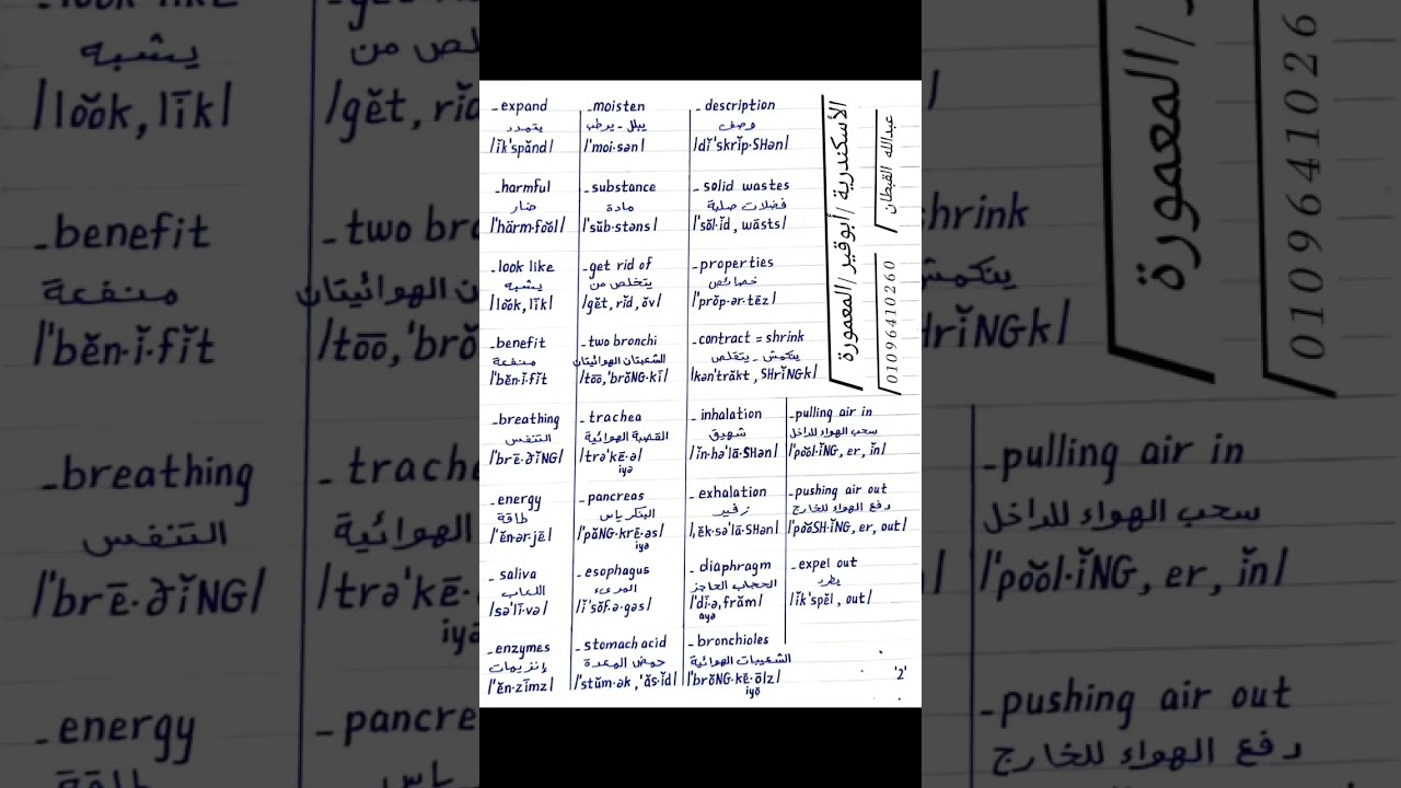 كلمات الدرس الثالث 