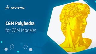 CGM Polyhedra for CGM Core Modeler