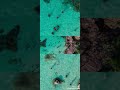 نغمات اسلامية كالنور في جنح الظلام 