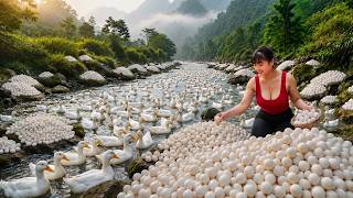 TIMELAPSE--3Years of Harvesting Lots Of Duck Eggs Go To Sell At Countryside Market