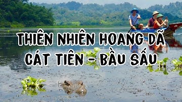Thiên nhiên Hoang dã Vườn Quốc gia Cát Tiên - Bàu Sấu. Crocodile lake, Ramsar site in Viet Nam.