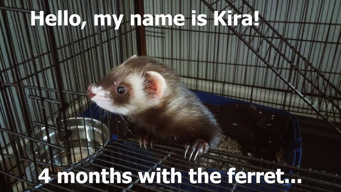 Porno tebranish stol Keling, jinsiy aloqa haqida gapiraylik 6 nashr - transition2012.ru