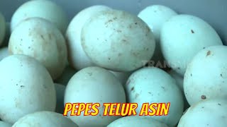 PEPES TELUR ASIN | JEJAK SI GUNDUL (08/01/22)