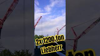 1200 ton Liebherr 2x #shorts #crane #liebherr