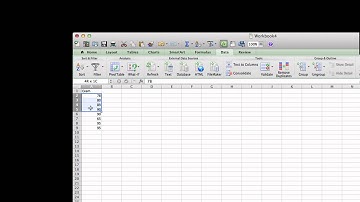 Introduction to Excel 2011 for the Mac (Math502)