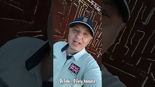 Dj Sebi Short  O Fata Hoinara djsebi