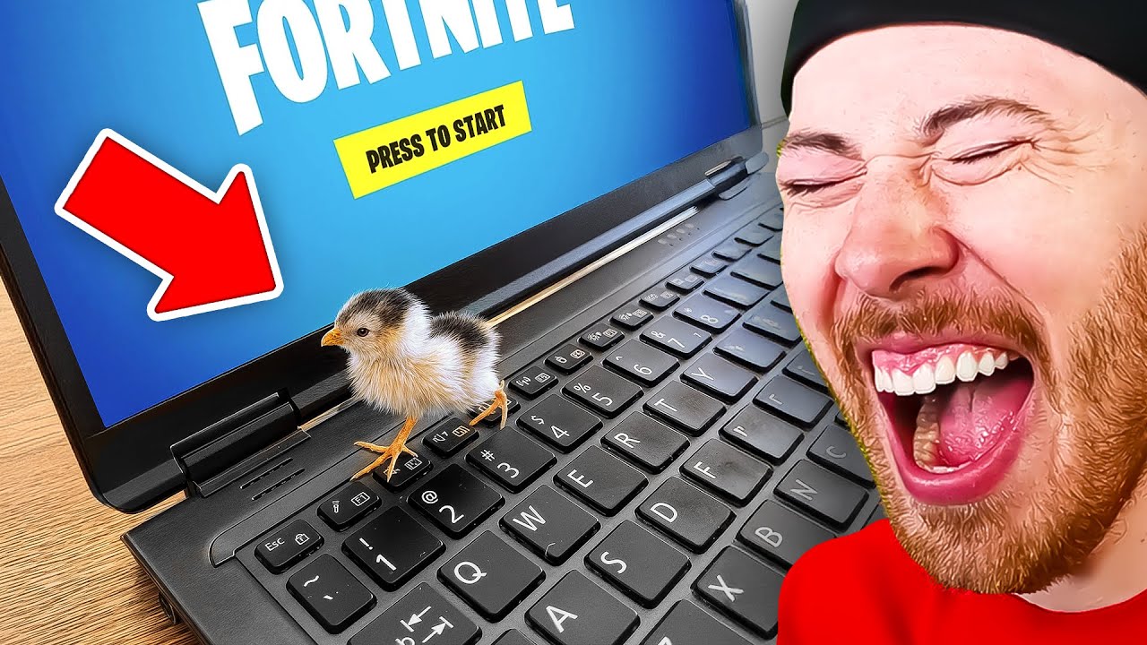 World's CUTEST Animals!