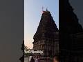 Shivaya namah #shortsyoutube #shivetemple #sivaya #omnamashivaya #hindutemple #trending #viralvideo