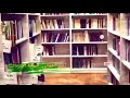 فوق النجوم نمر كالألحان