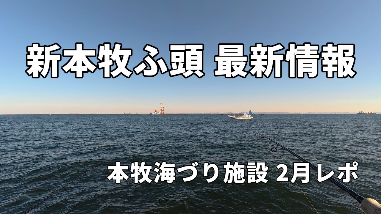 【本牧海づり施設】2月初旬レポートとコノシロの食べ方｜新本牧ふ頭の最新情報