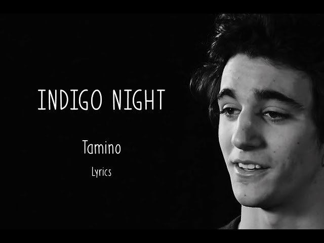 Tamino - Indigo night - Lyrics class=