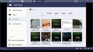 Copy Data From Bluestacks to PC