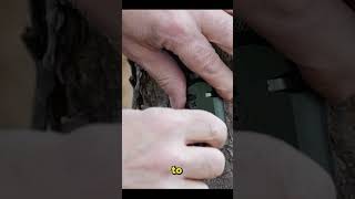 how would you use our 12g sound alarm by FithOps?