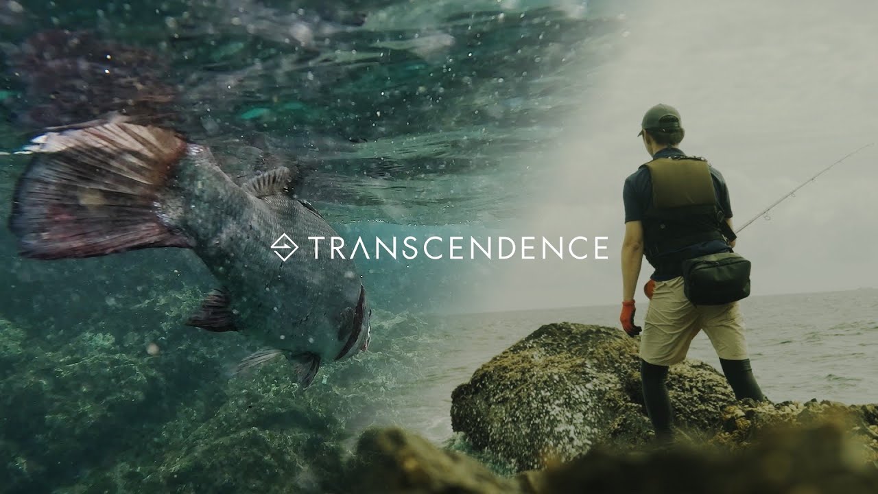 鹿児島ヒラスズキ |　Transcendence　Compass of your dream Episode 2