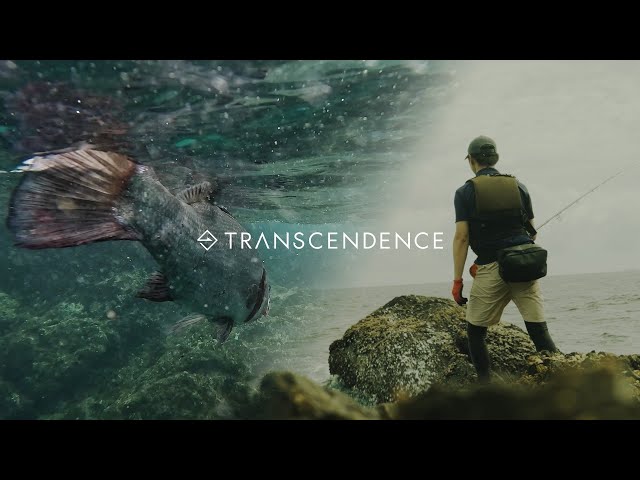 Kagoshima Blackfin Seabass | Transcendence Compass of your dream