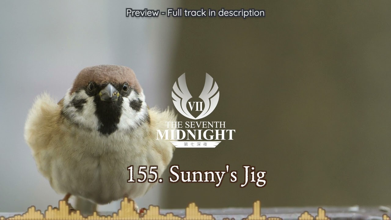 155. Sunny's Jig | RPG Cute Theme | Fantasy Funny Background Music | DnD