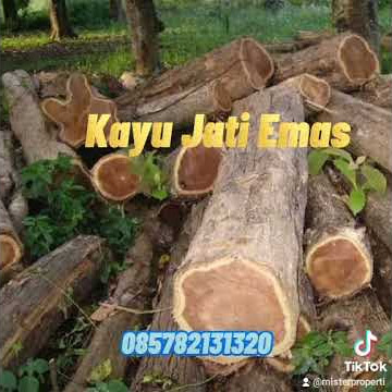 Kavling Jati Emas, Bogor.