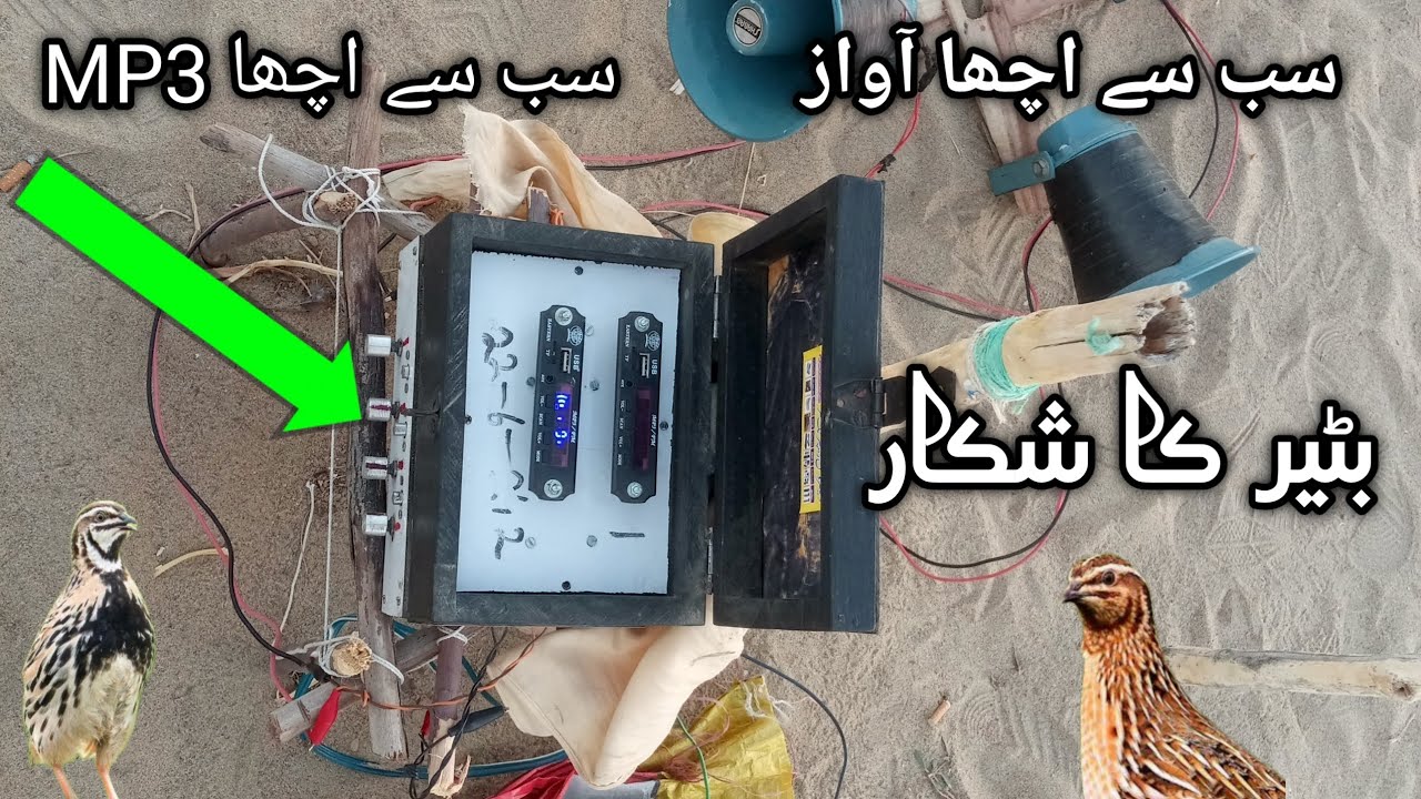 سب سے اچھا mp3 بٹیر کا شکار 👍 اچھا اچھا ولوگ دیکھو Vlog YouTube channel ko subscribe karo 