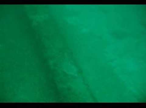 Diving - Straits of Mackinac - William Young Shipw...