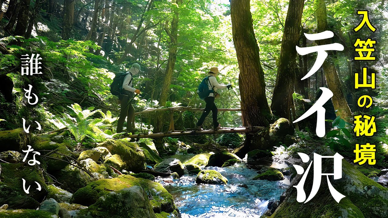 【長野県】テイ沢 入笠山から周回  苔むす清流を右に左に橋わたり【シニア夫婦のゆる登山日記No138】