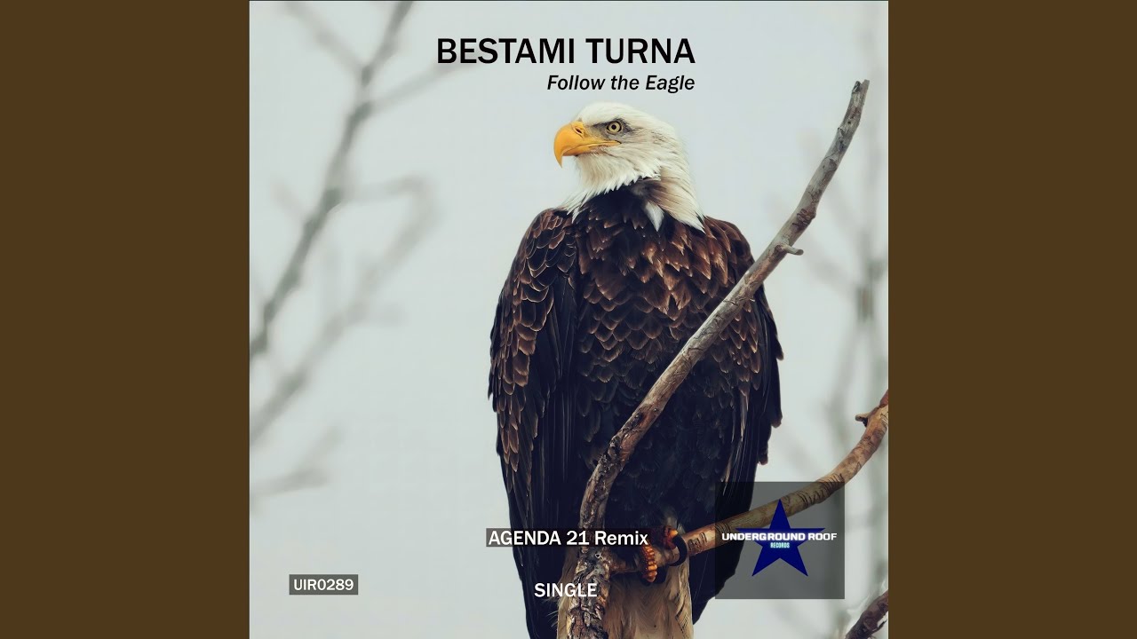 Follow the Eagle (Agenda 21 Remix)