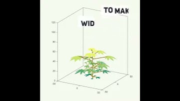 Newly improved model could help scientists better predict crop yield, climate change effects
