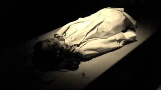 Osaka’s Zombie Museum opens like a disemboweled rib cage