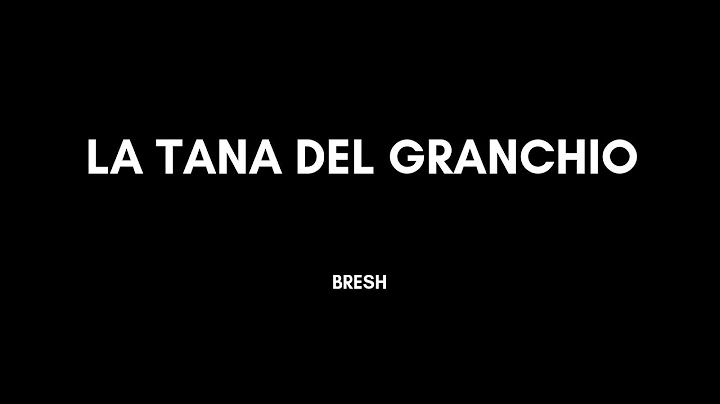 BRESH - LA TANA DEL GRANCHIO - KARAOKE