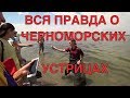 Вся правда о черноморских устрицах!Устрицы. Как едят устриц.