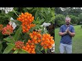 Pollinator Garden Tour🦋🐝 - Amazing Landscape