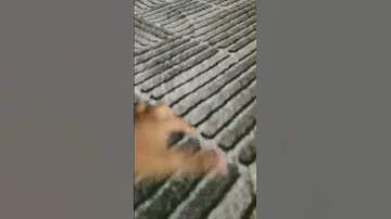 22 August 2025 