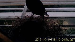 20171019T1800~1830