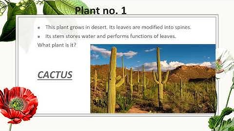 Class 3, General Knowledge, Chapter 18 by Anukriti gupta