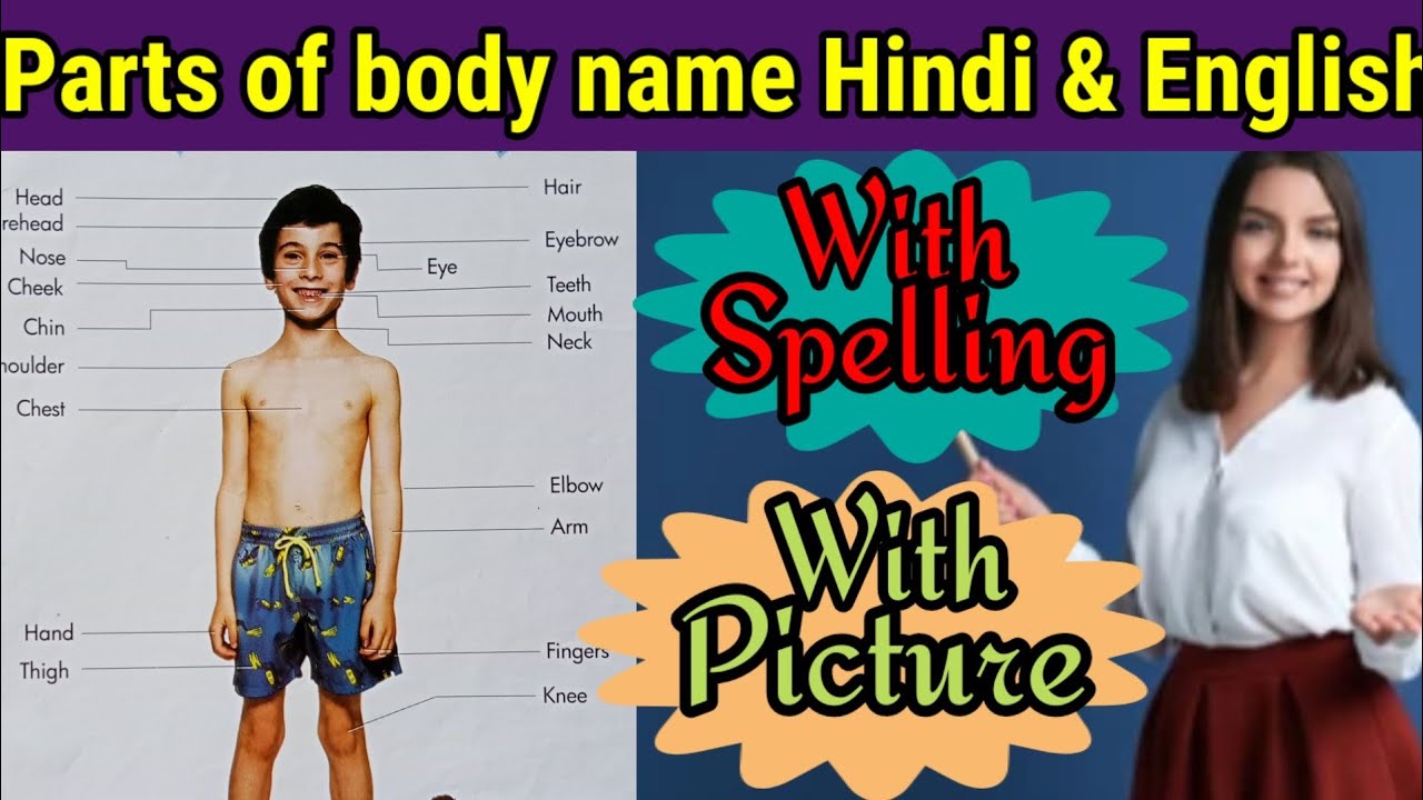 Human Parts Of Body Name English Hindi With Spelling And Picture human-parts-of-body-name-english-hindi-with-spelling-and-picture