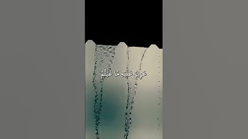 آيات من سورة التوبة | القارئ حمزة الحاج زيدان