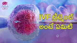 Kushi IVF Hospital ||@LotusMediaOfficial  #ivftreatment