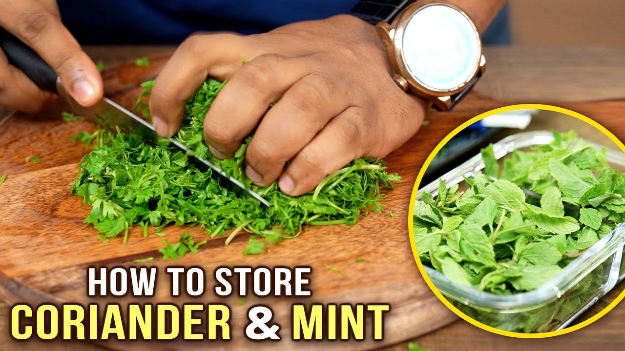 How To Cut & Store Coriander & Mint Leaves | Ways To Clean Coriander & Mint Leaves | Basic Cooking | Rajshri Food