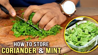 How To Cut & Store Coriander & Mint Leaves | Ways To Clean Coriander & Mint Leaves | Basic Cooking screenshot 5