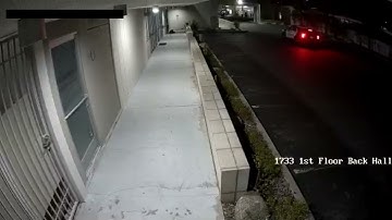 Real-Time Surveillance Captures Trespasser Trying to Hide!